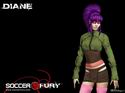 Soccer Fury