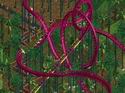 RollerCoaster Tycoon: Gold Edition