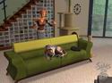 The Sims 2: Pets