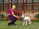 The Sims 2: Pets