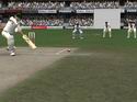 Cricket 07