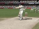 Cricket 07