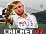 Cricket 07