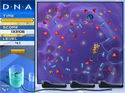 D.N.A