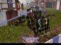 Neverwinter Nights: Wyvern Crown of Cormyr