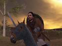 Mount & Blade