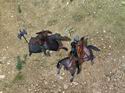 Mount & Blade