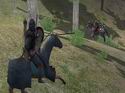 Mount & Blade