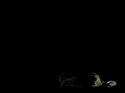Samorost 2