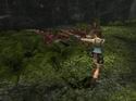 Tomb Raider: Anniversary