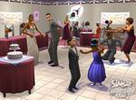 The Sims 2: Celebration Stuff