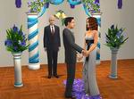 The Sims 2: Celebration Stuff