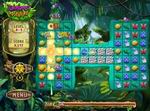 Rainforest Adventure