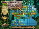 Rainforest Adventure