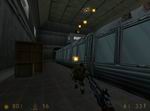 Sweet Half-Life