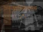 Sweet Half-Life