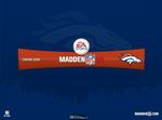 Madden NFL 08