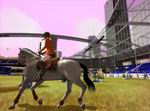 My Horse and Me