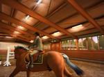 My Horse and Me