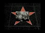 Hard Evidence: The Marilyn Monroe Files