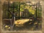 Big Buck Hunter Pro