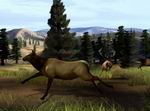 Big Buck Hunter Pro