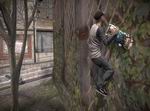 Tony Hawk's Proving Ground