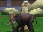 Zoo Tycoon 2: Extinct Animals