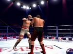 Boxsport Manager