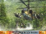DCS: Black Shark