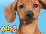 Petz: Dogz 2