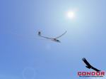 Condor: The Competition Soaring Simulator