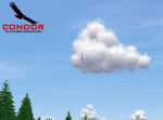 Condor: The Competition Soaring Simulator
