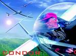 Condor: The Competition Soaring Simulator