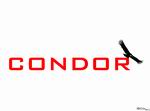 Condor: The Competition Soaring Simulator