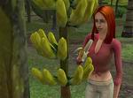 The Sims Castaway Stories