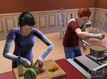 The Sims 3