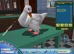 Farm Vet