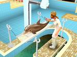 Pet Vet 3D: Animal Hospital Down Under
