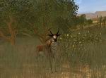 Cabela's Big Game Hunter 2004 Season