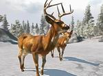 Cabela's Big Game Hunter 2008: Trophy Bucks