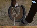 Let's Ride: Riding Star