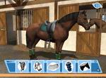 Let's Ride: Riding Star