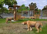 Wildlife Zoo