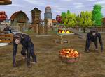 Wildlife Zoo