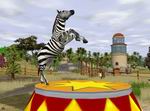 Wildlife Zoo
