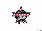 Pro Bull Riders: Out of the Chute