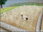 Mabinogi