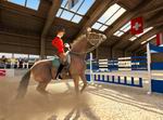 Tim Stockdale's Riding Star