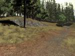 Ground Branch